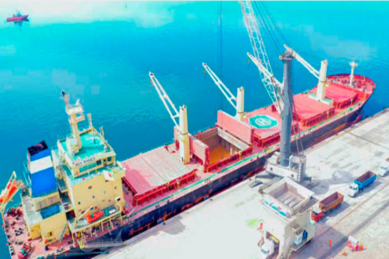 Paracas: Terminal Portuario movilizó más de 1,360,00 TM de carga durante el 2020